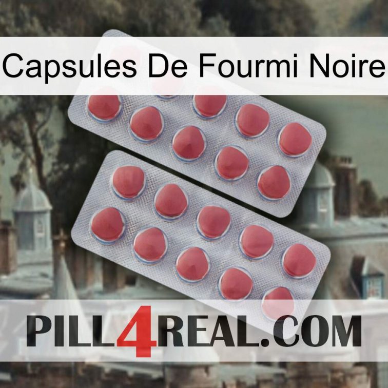 Black Ant Capsules 19